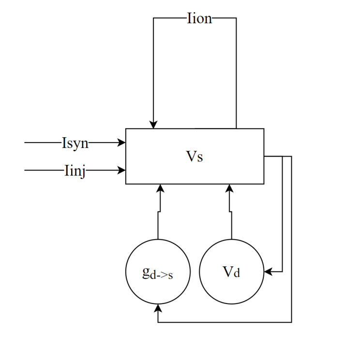 Multicompartment neuronal model