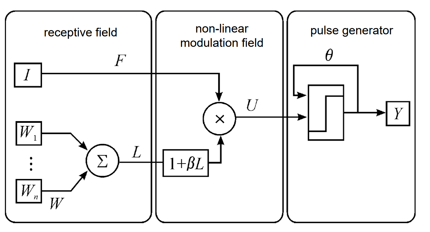 PCNN network model